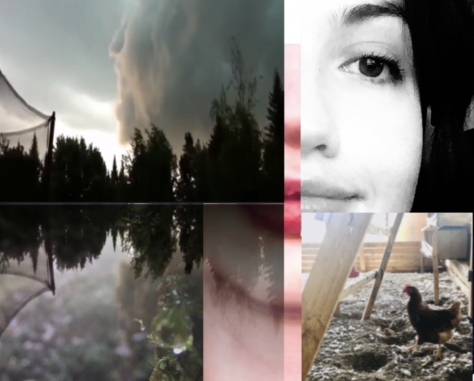 Collage de un sueño. Representa varias instancias del sueño de la protagonista.